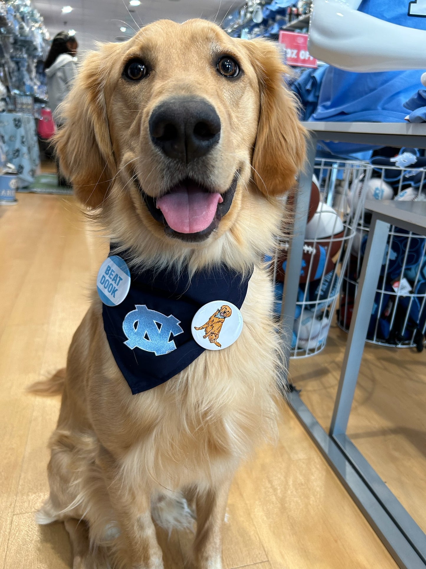 Golden Retriever in Carolina Blue Argyle Bandana Button Pin by SHB
