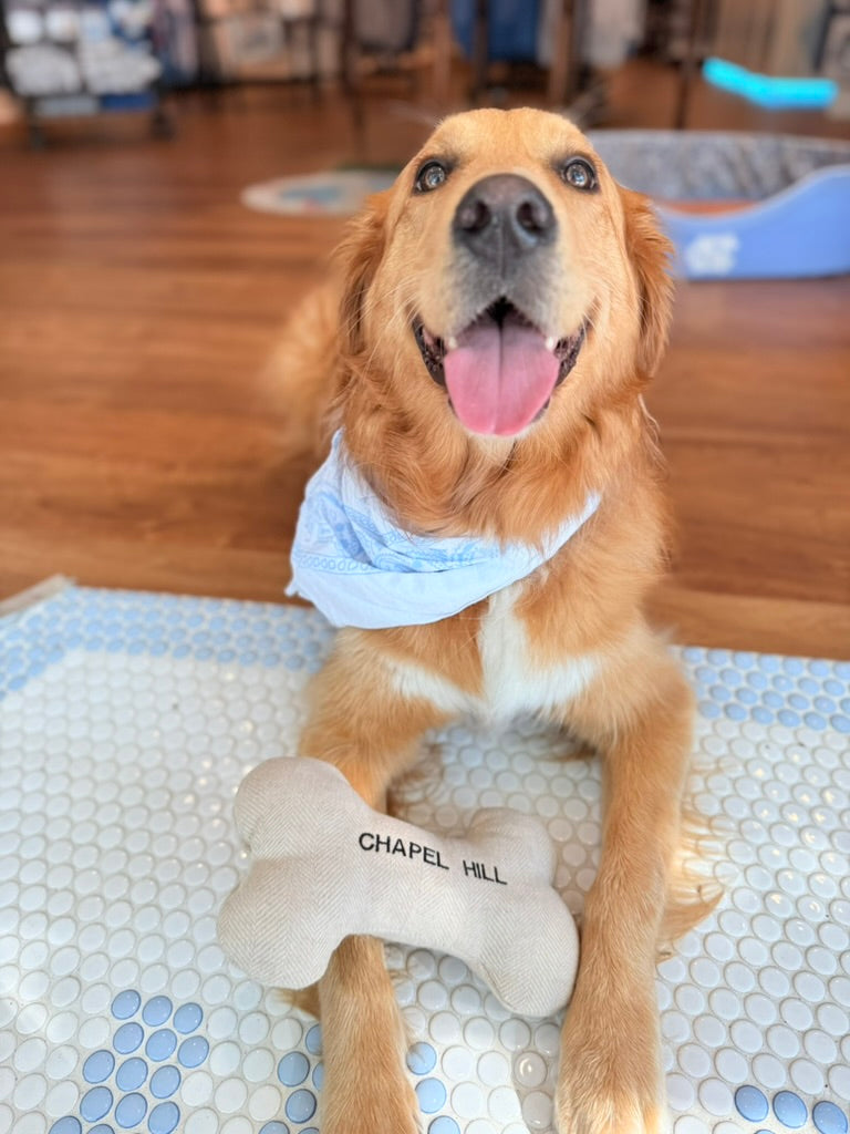 North Carolina Tweed Dog Bone Toy