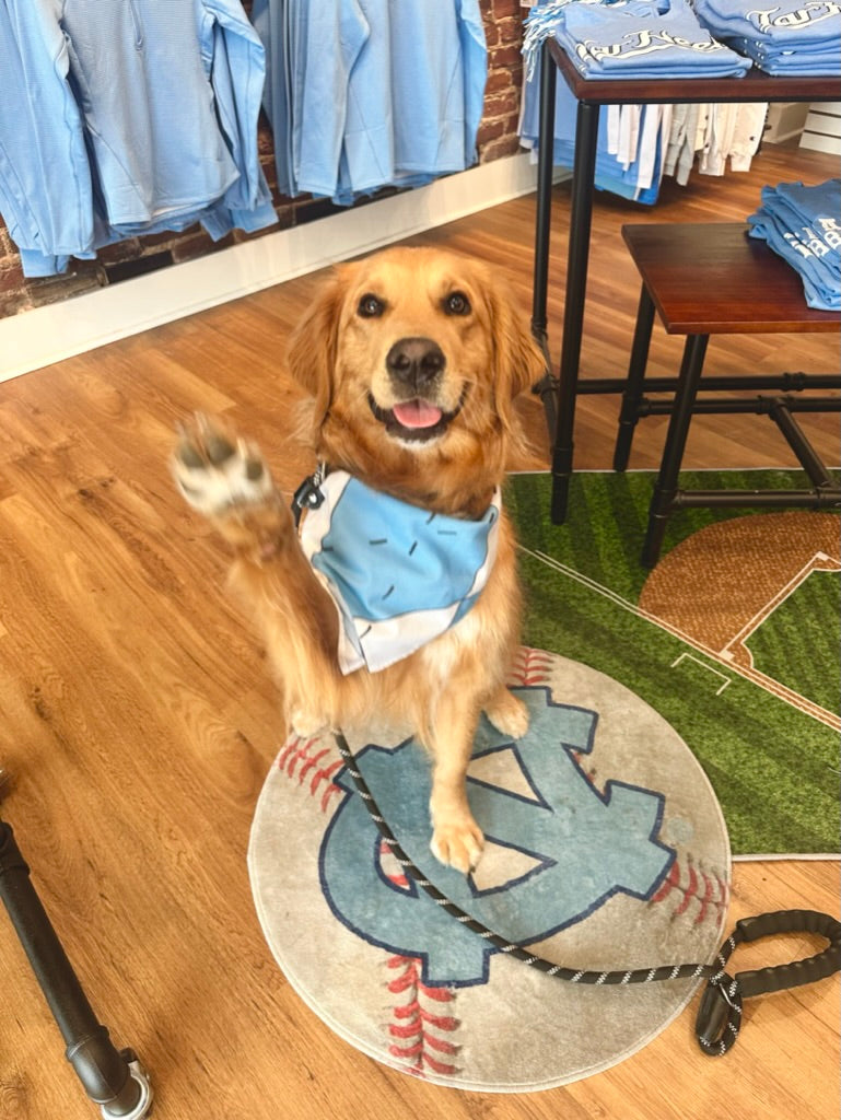 North Carolina Tar Heels Baseball Mat Rug with NC Logo by Fanmats