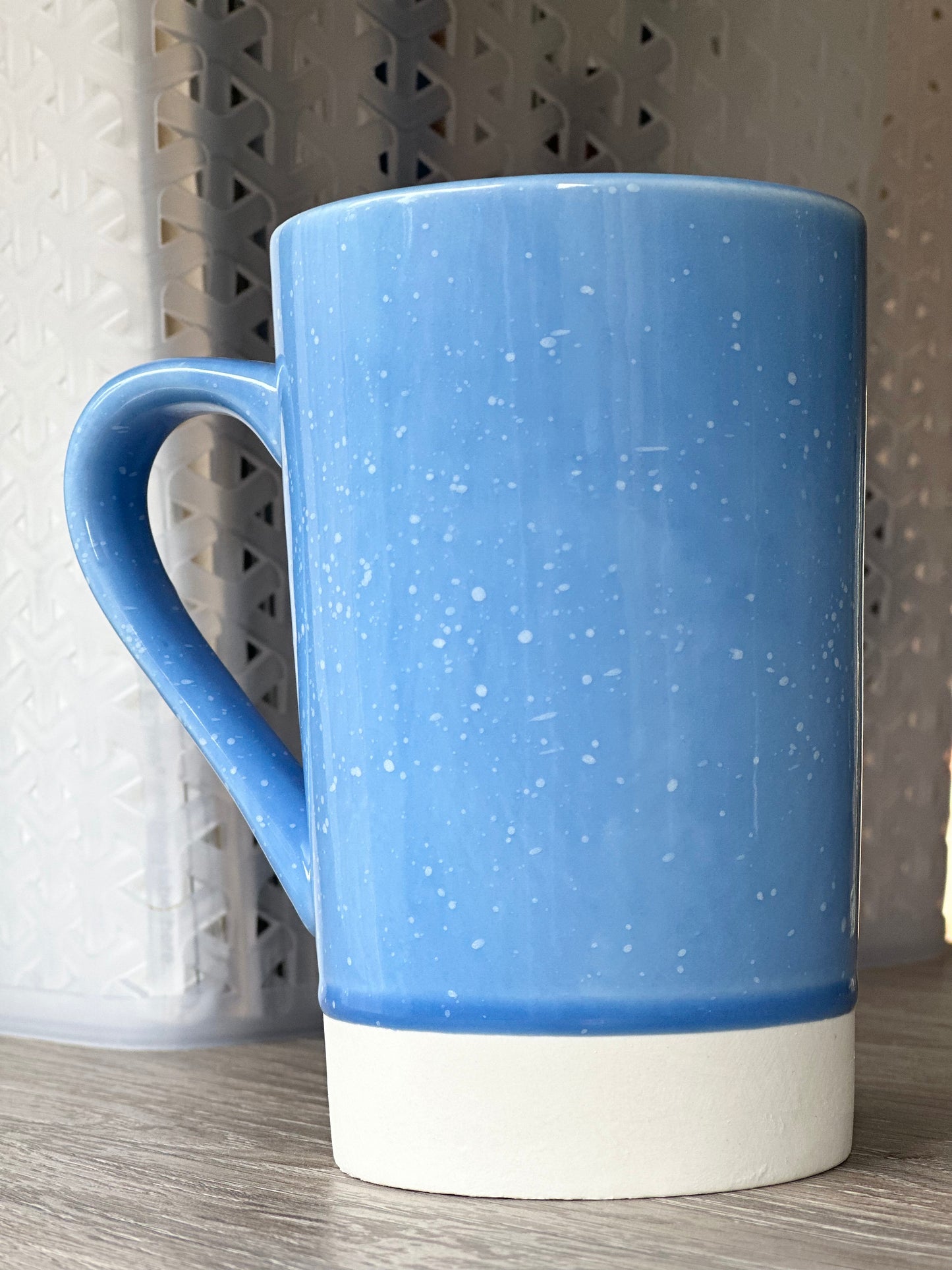 North Carolina 14oz Speckled Mug
