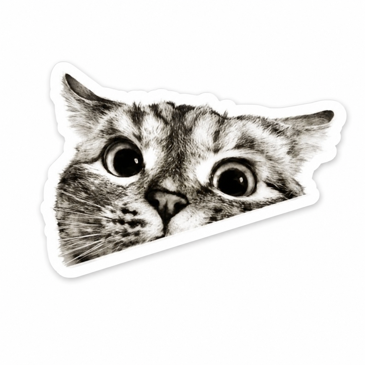 Peeking Cat Sticker