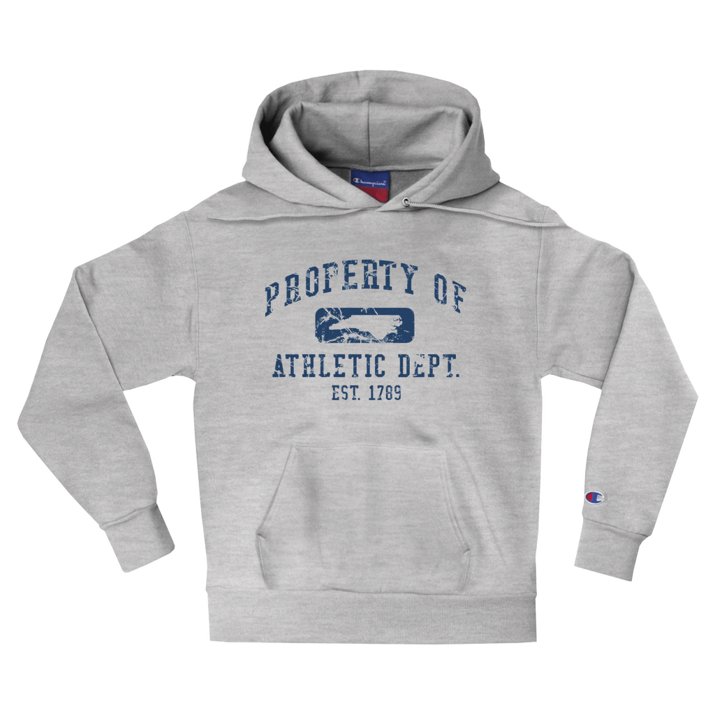 Apparel-DTF-Hoodie-Champion-S700-M-LightSteel-Unisex-CF-20240807173710488