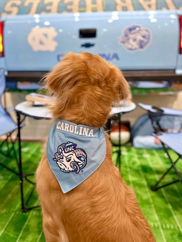 Carolina Reversible Jersey Style Dog Bandana