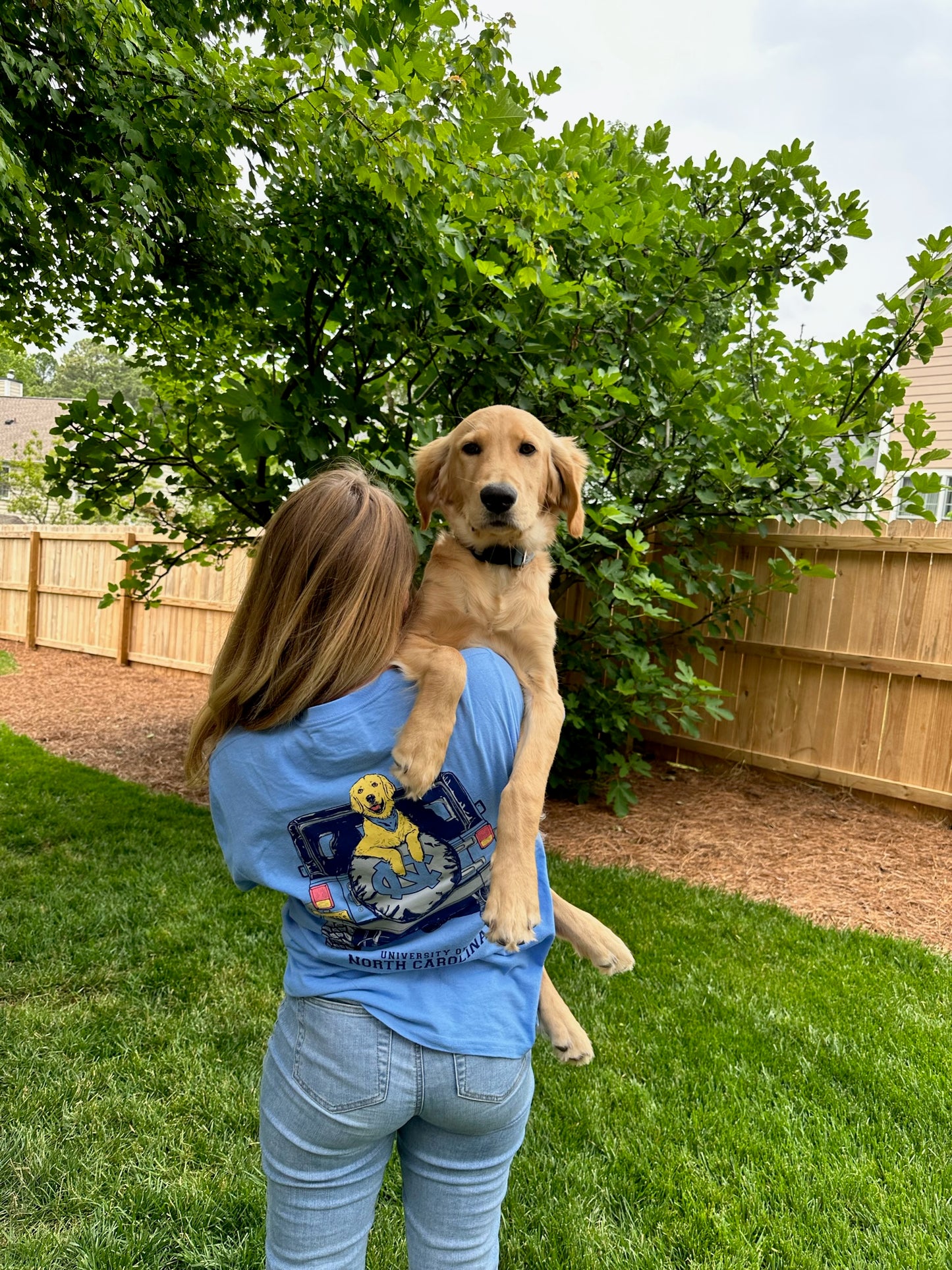 Carolina Blue UNC Dog T-Shirt with Golden Retriever in Jeep