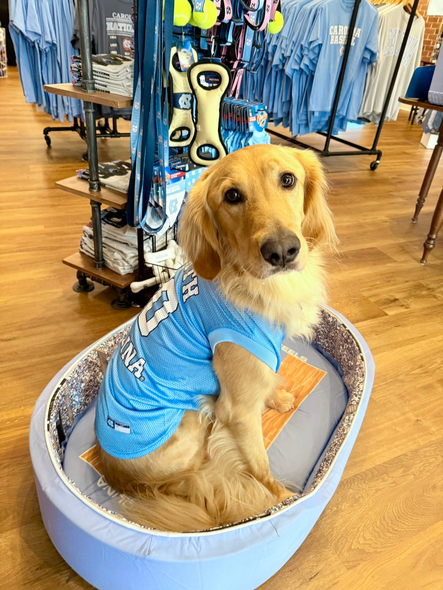 Carolina Basketball Dog Jersey