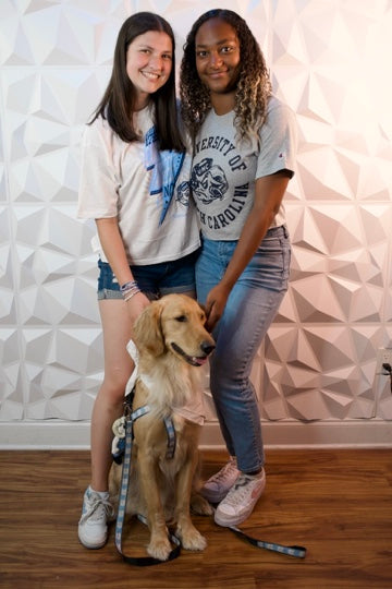 North Carolina Tar Heels Dog Step-In Harness