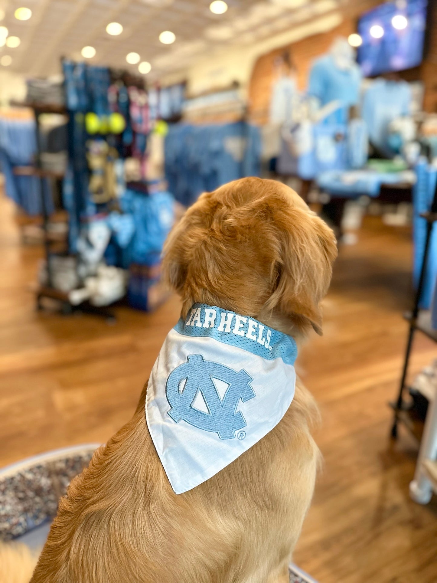 Carolina Reversible Jersey Style Dog Bandana