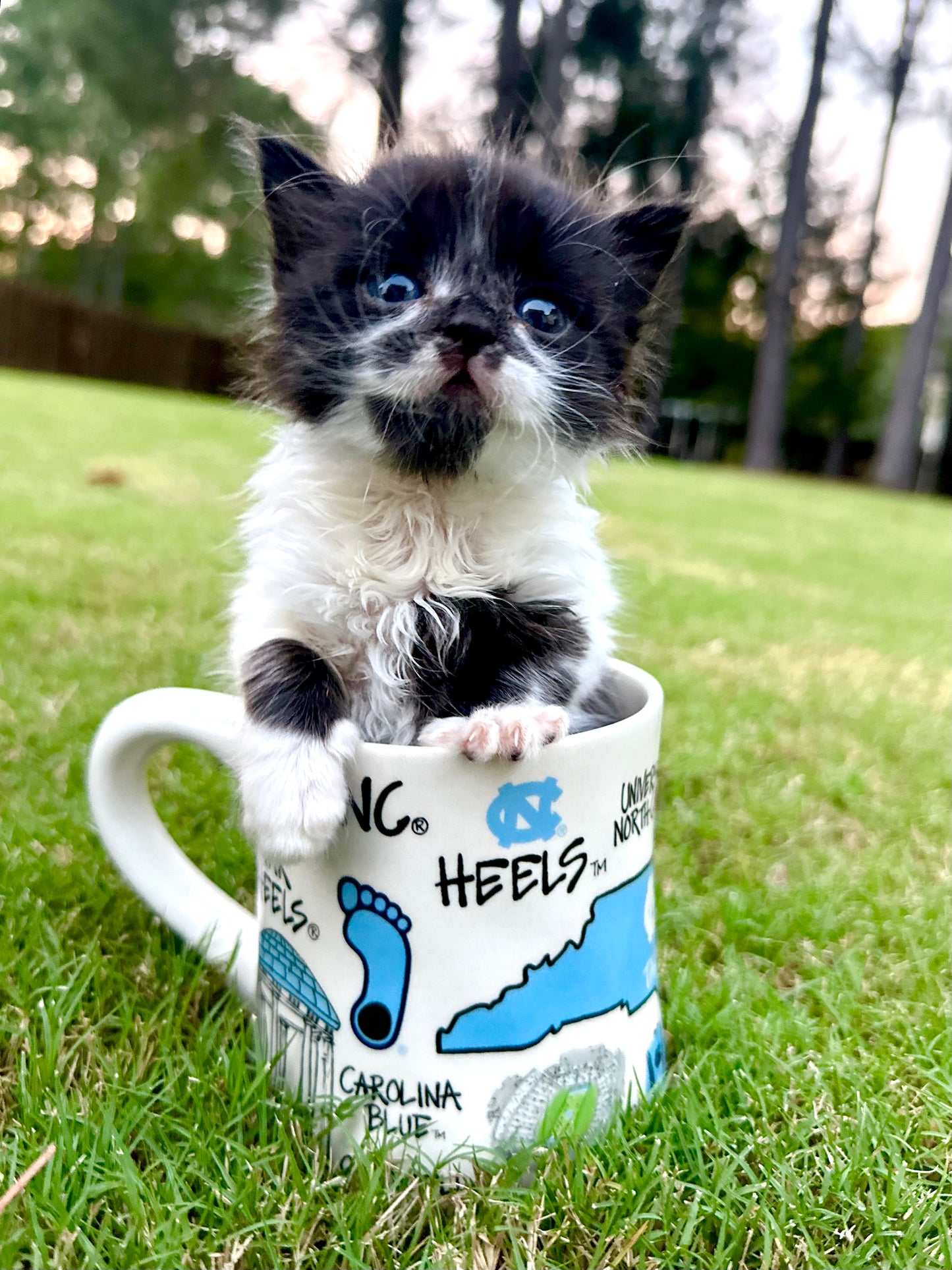 UNC Chapel Hill Coffee Mug with University Icon Collage