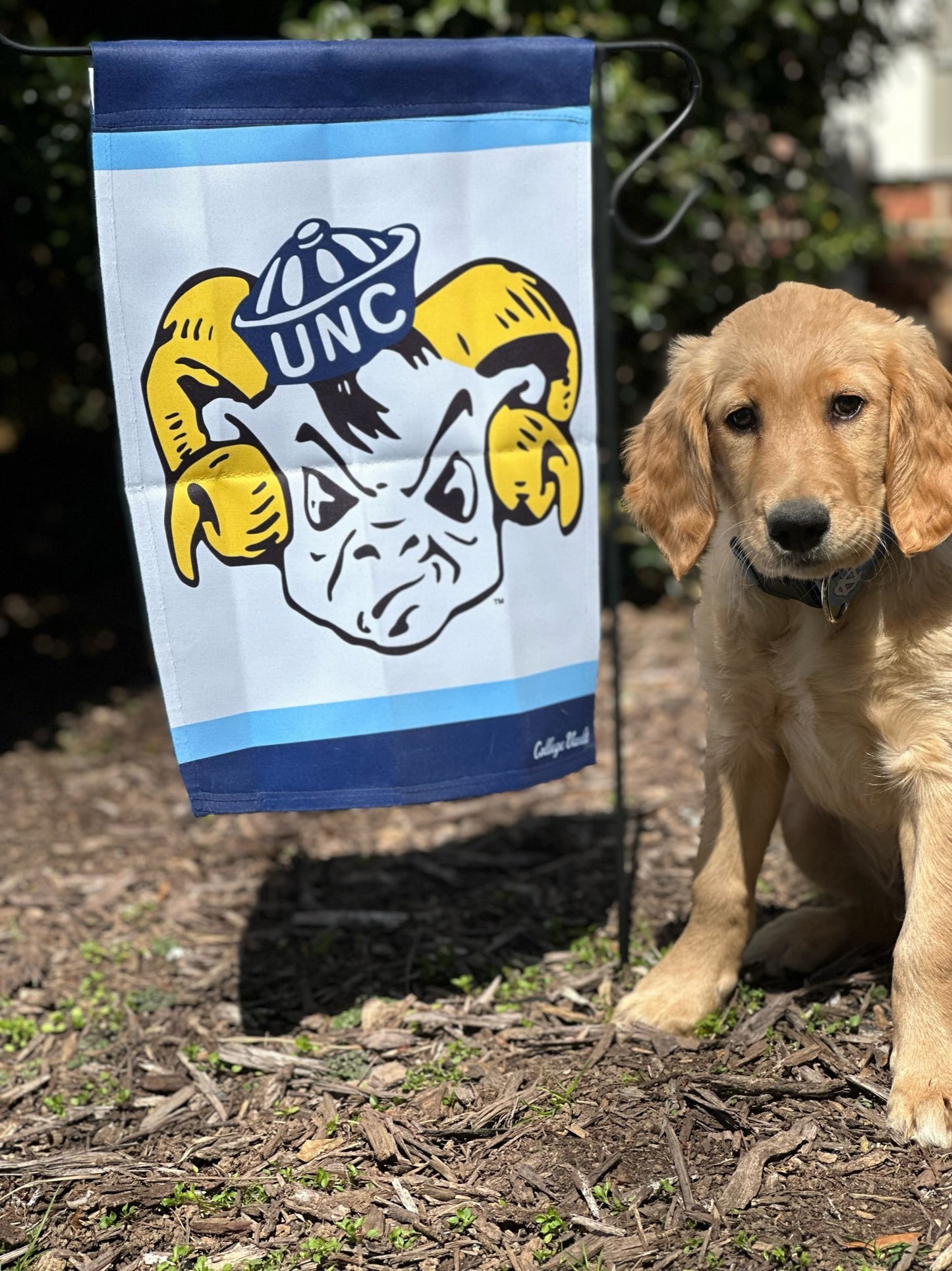 North Carolina Tar Heels Vintage Garden Flag 2 Sided