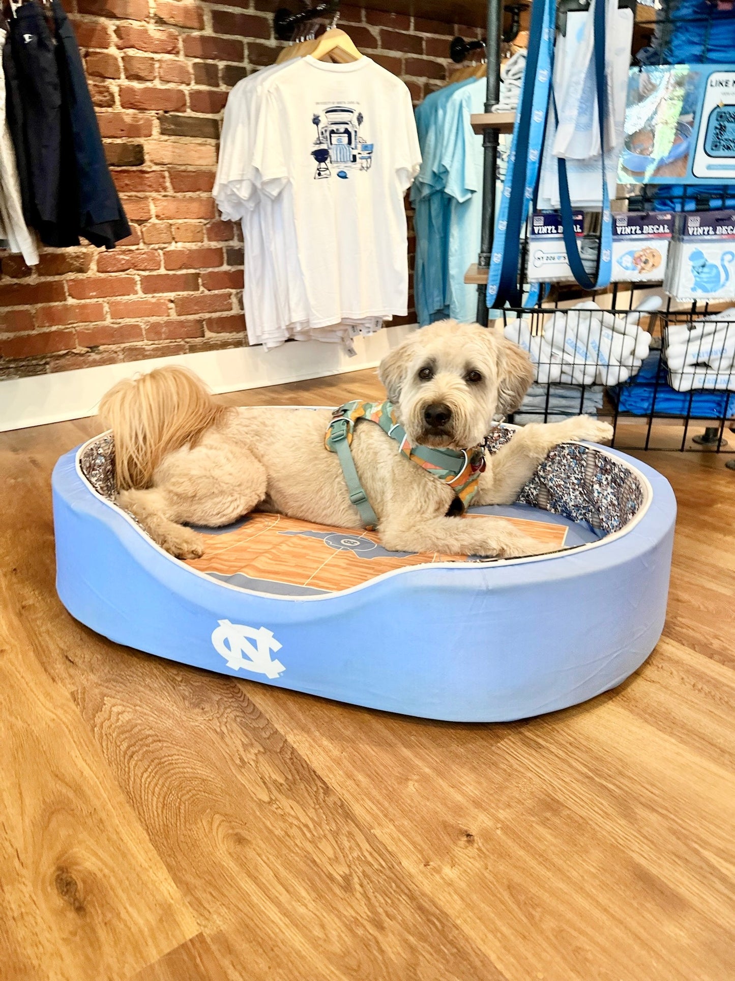 UNC Basketball Dog Bed Dean Dome Pet Bed