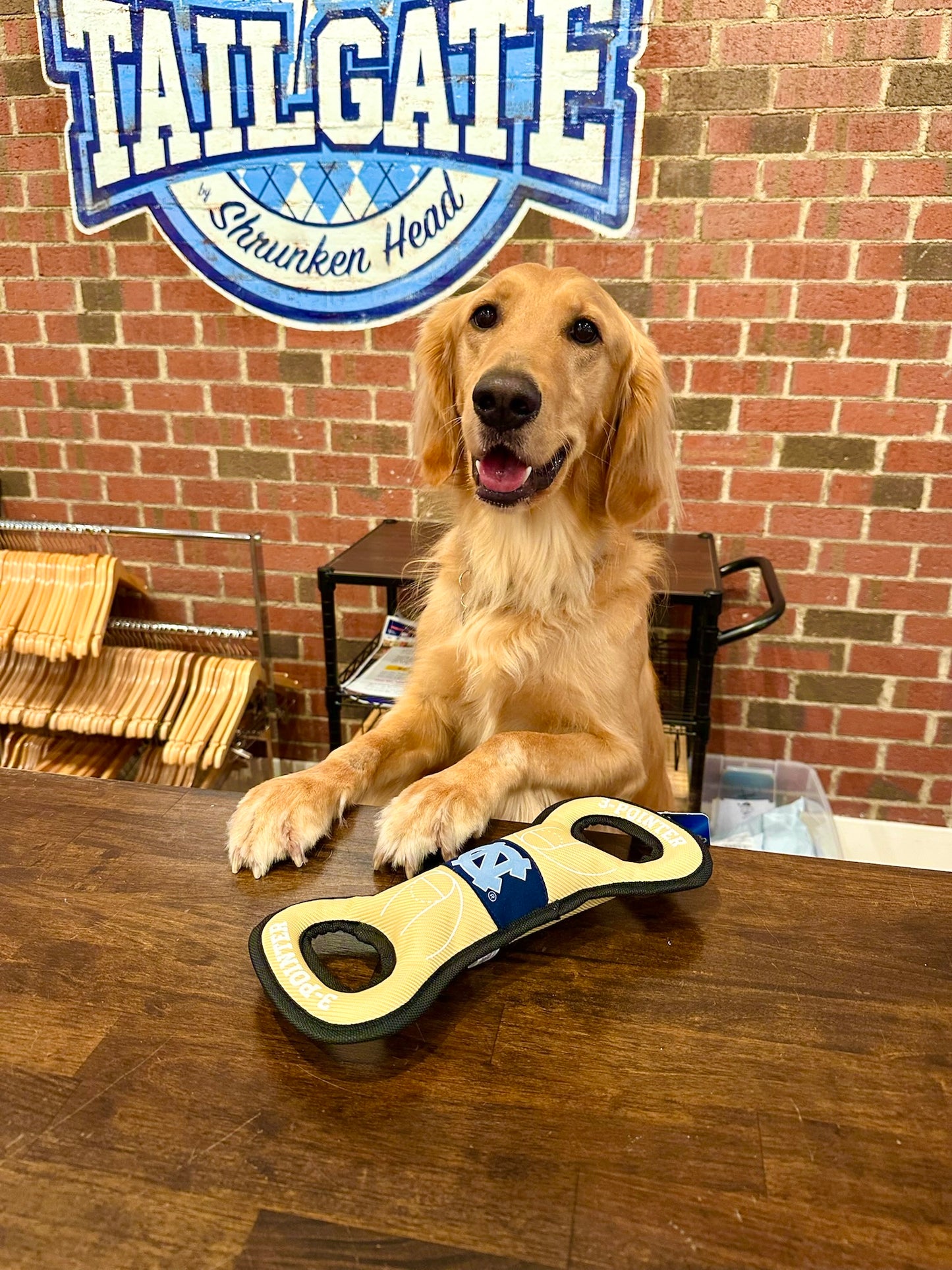 Carolina Basketball Court Tug of War Dog Toy