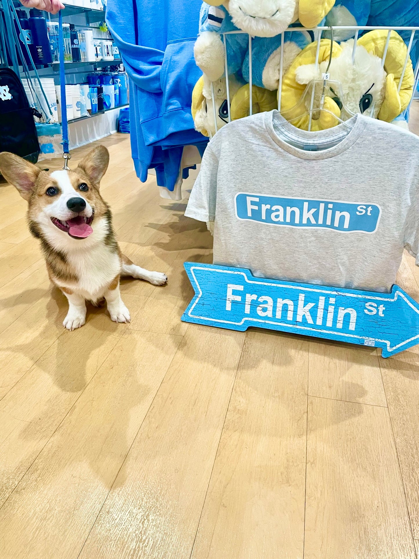 Franklin Street Cropped T-Shirt in Light Grey from SHB