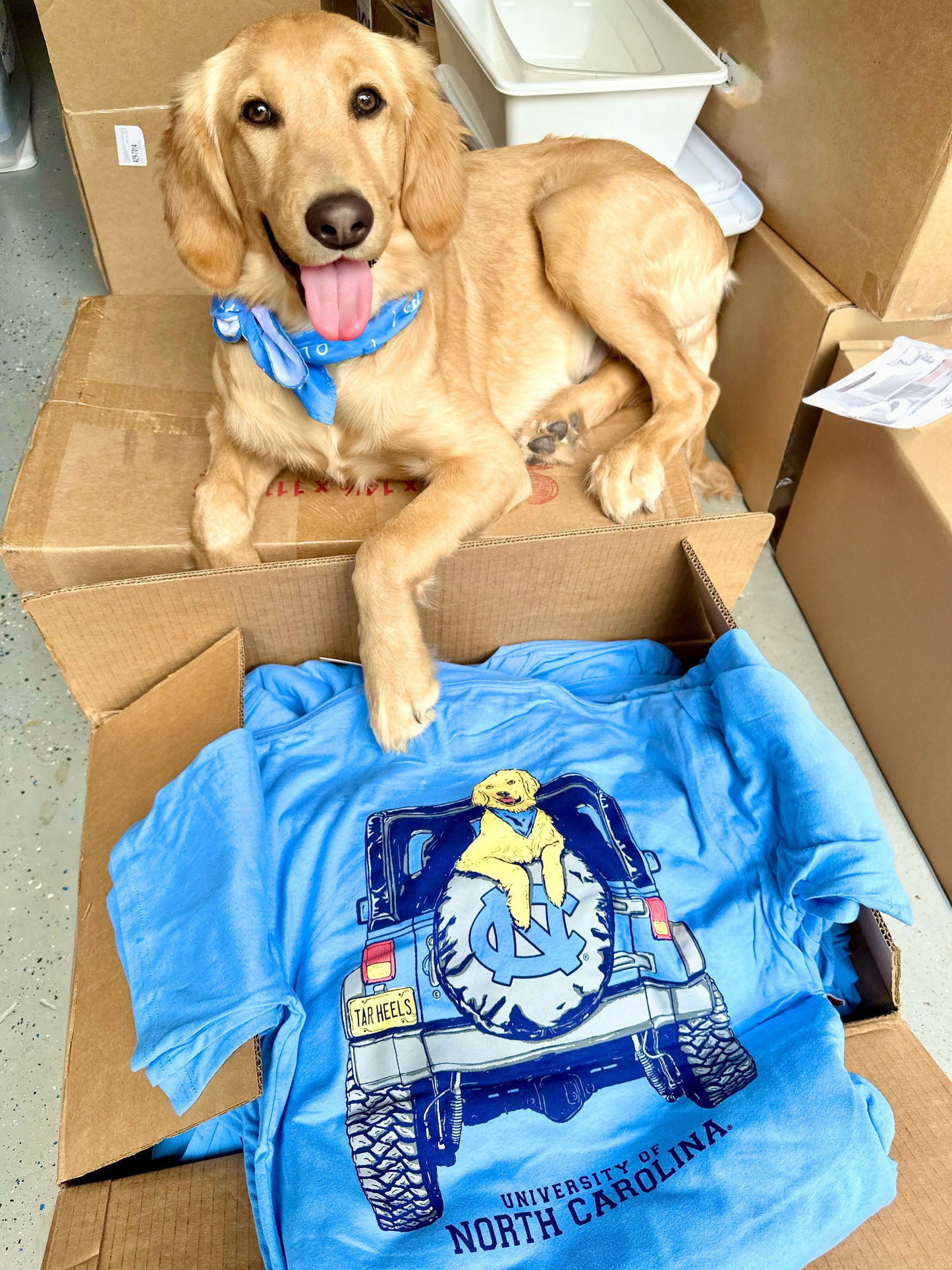 Carolina Blue UNC Dog T-Shirt with Golden Retriever in Jeep