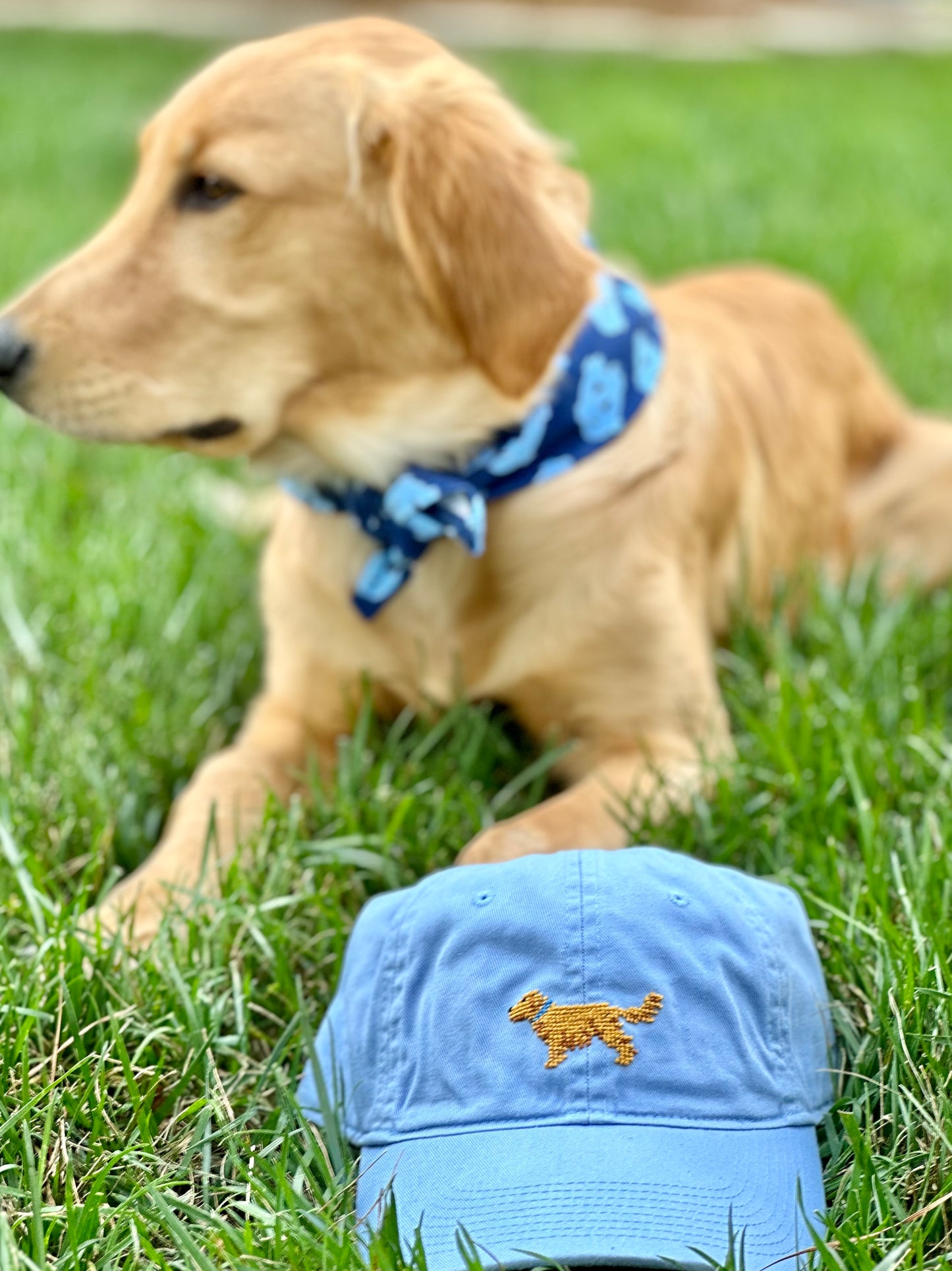 Carolina Blue Golden Retriever Needlepoint Hat by Smathers and Branson