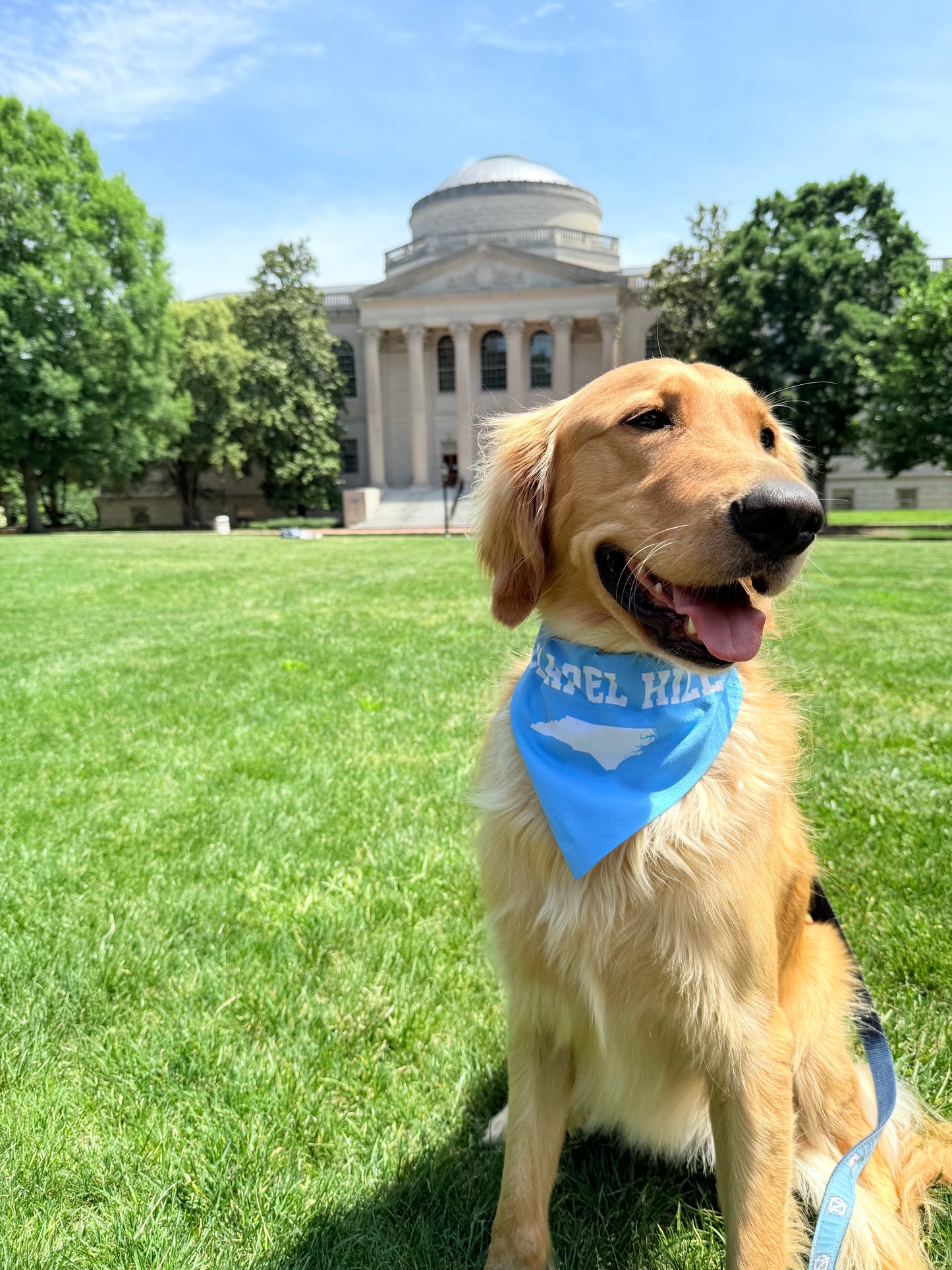 Chapel Hill North Carolina Blue Dog Bandana