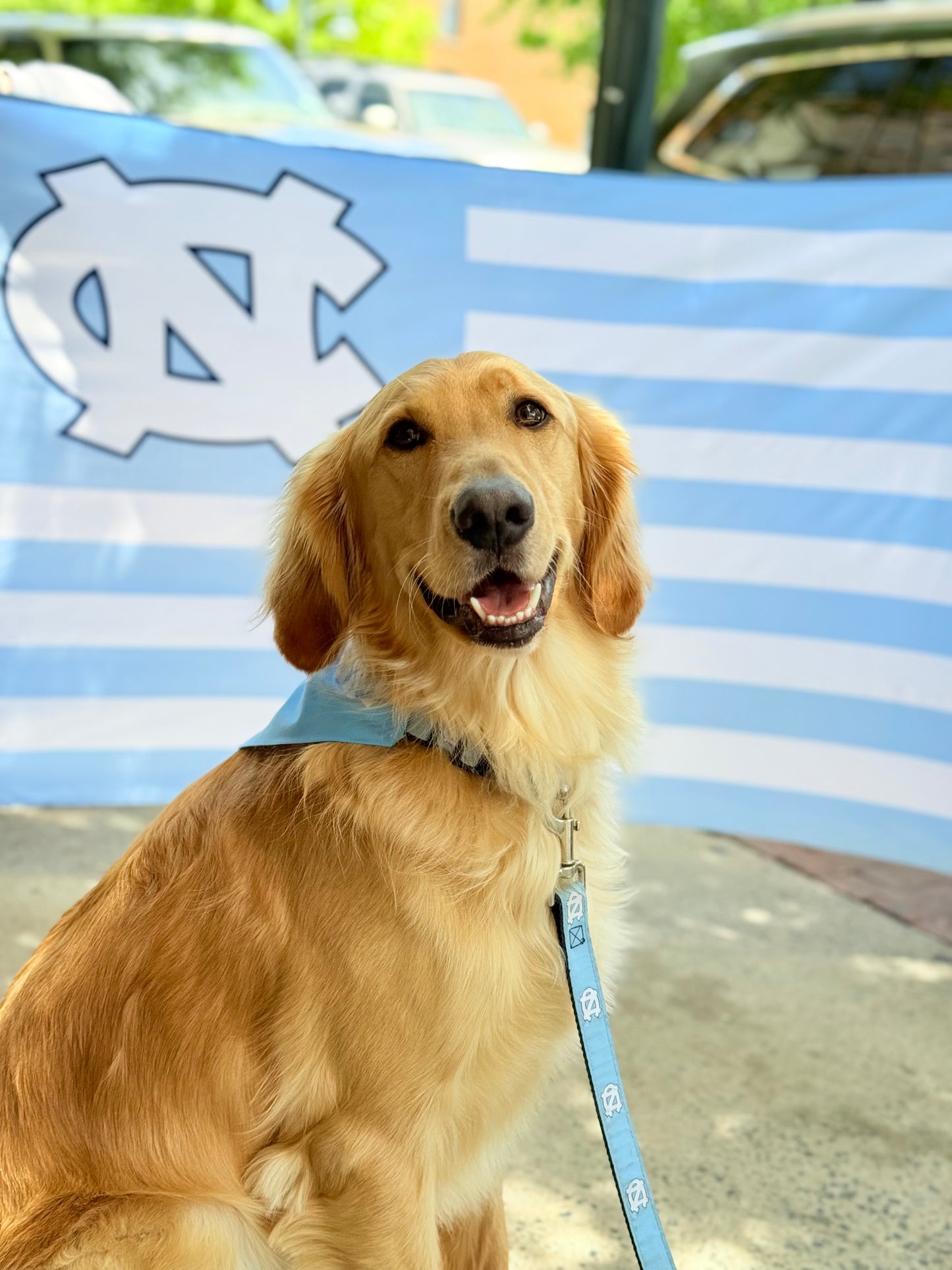 Carolina Blue UNC Dog Leash by Moonshine