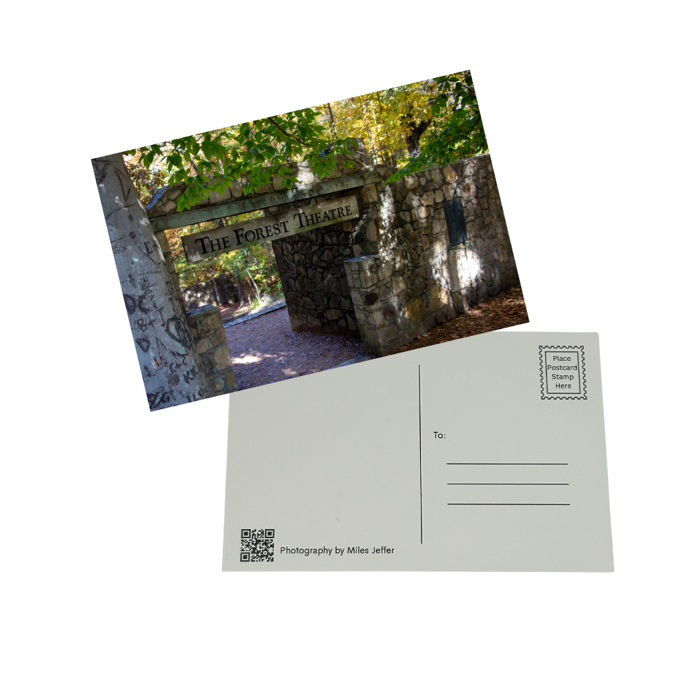 UNC Forest Theatre 4x6 Post Card