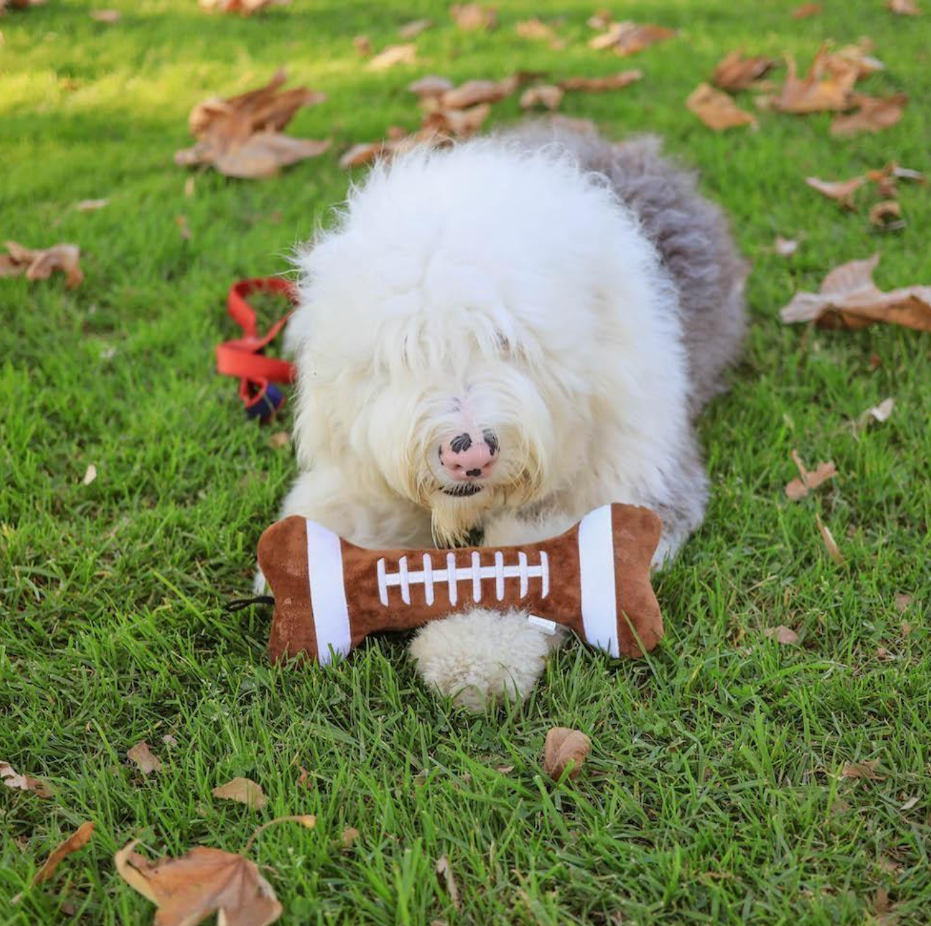 Football Bone Dog Toy