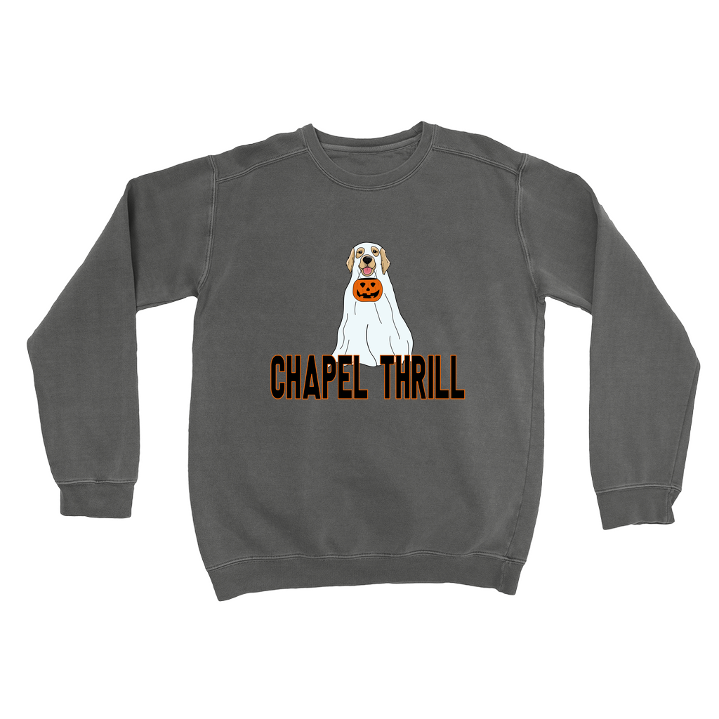 Apparel-DTG-Sweatshirt-CC-1566-M-Pepper-Unisex-CF-20241011174427874
