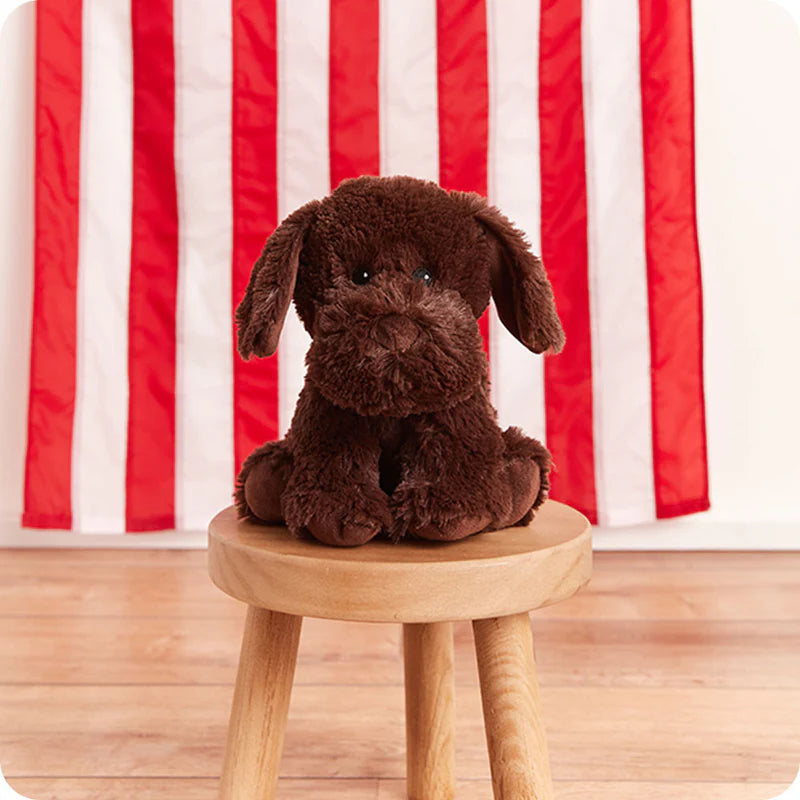 Chocolate Labrador Warmies - Detail View - Warmies