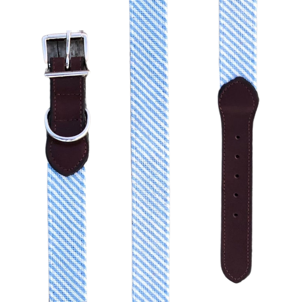 Carolina Blue and White Seersucker Needlepoint Dog Collar by Mimi and Company