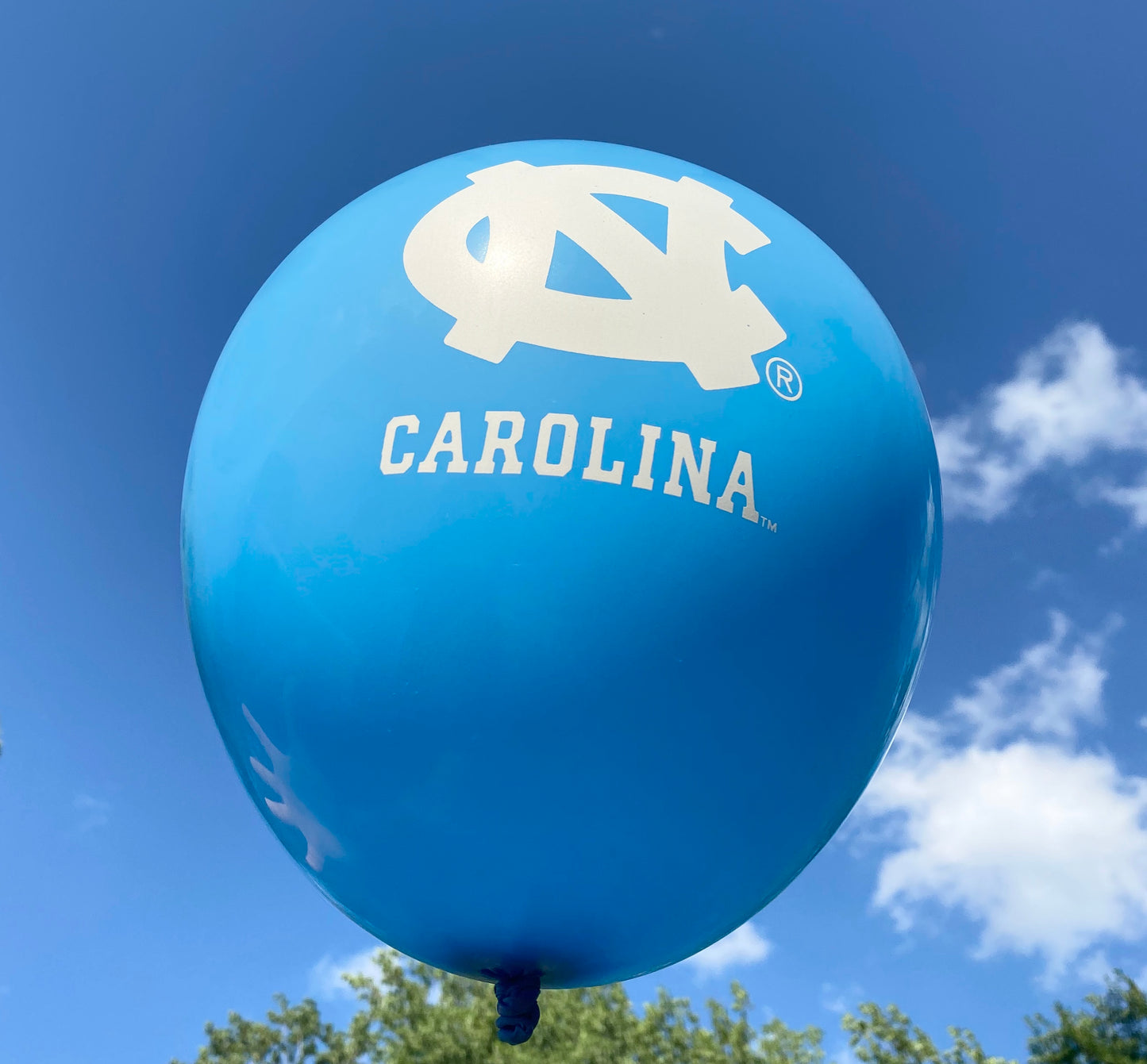 North Carolina Tar Heels Mayflower 11 Inch UNC Balloon (10 ct)