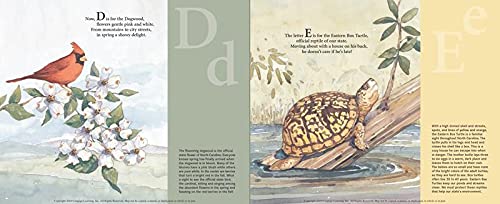 North Carolina Alphabet Kid's Book: T is for Tar Heel