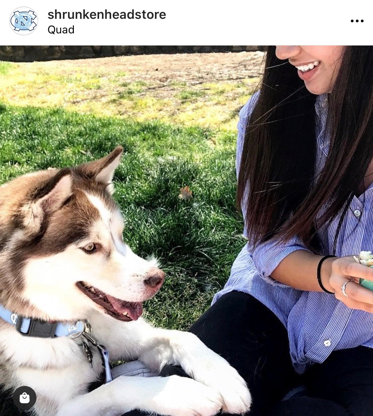 UNC Dog Collar in Carolina Blue