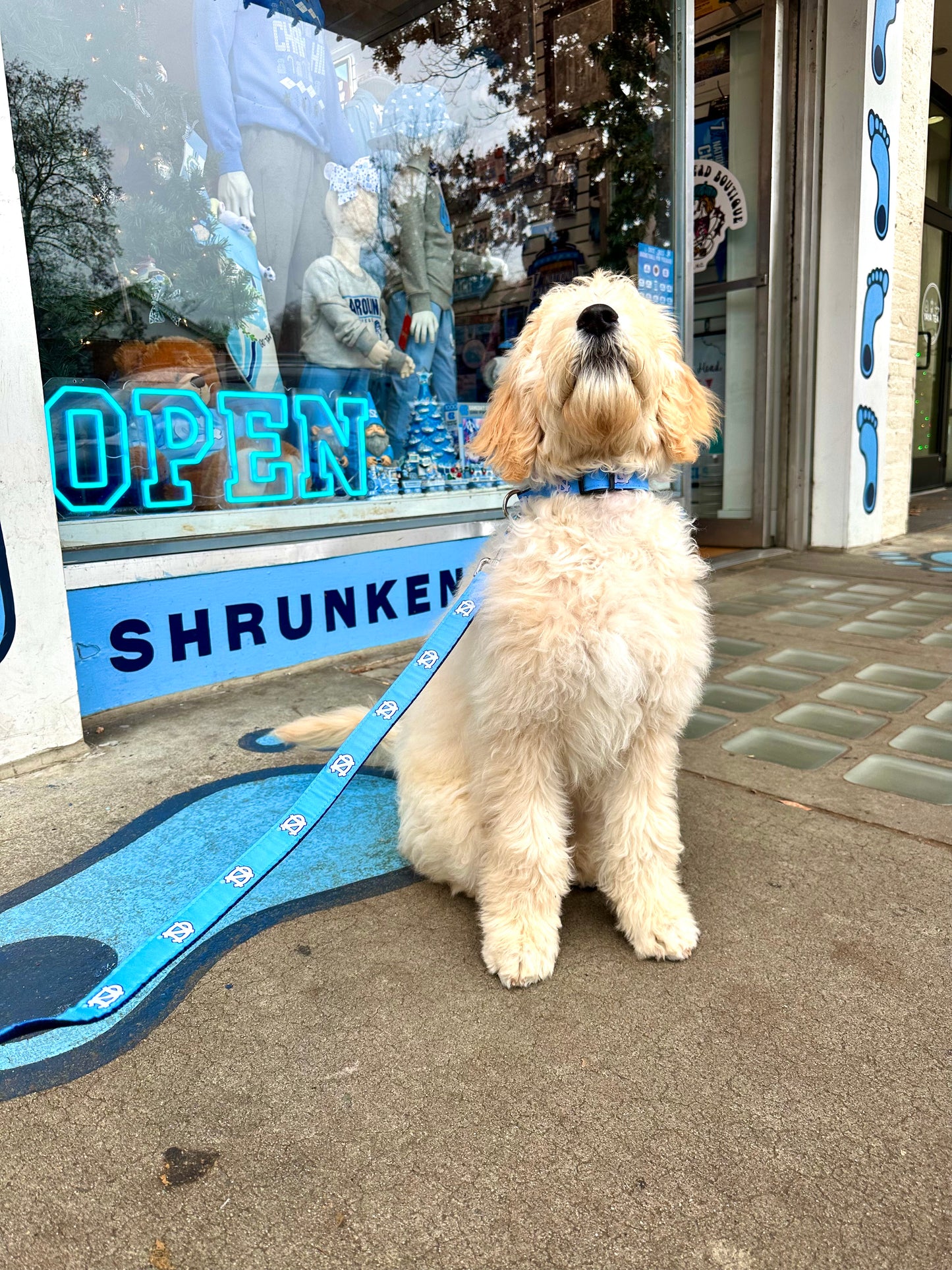 Carolina Blue UNC Dog Leash by Moonshine