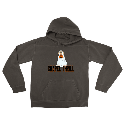 Chapel Thrill Ghost Dog Comfort Colors Adult Hoodie