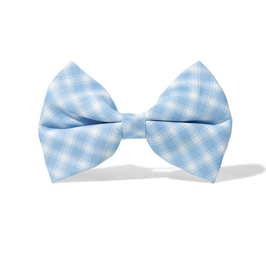 Carolina Blue Gingham Dog Bowtie Adjustable