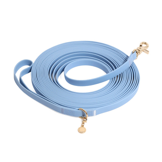 30 Ft Malibu Blue Dog Leash