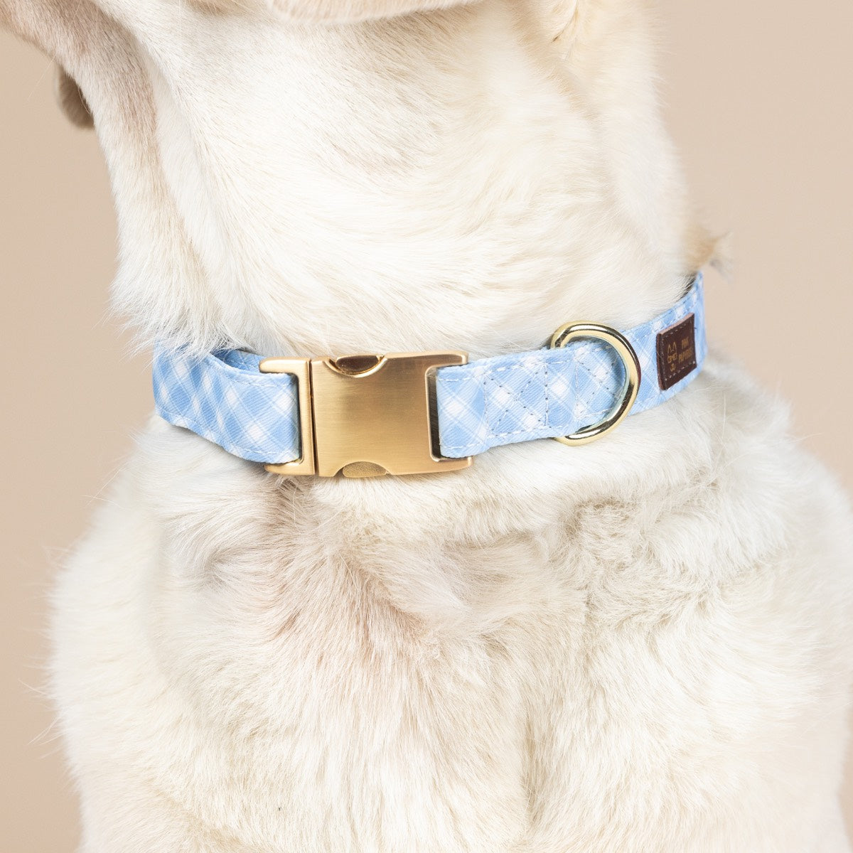 Carolina Blue Gingham Dog Collar