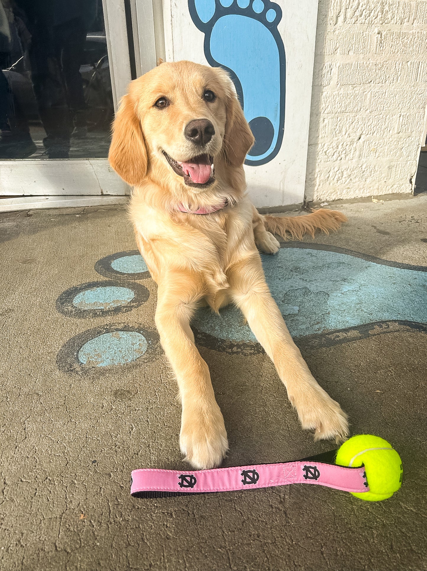 UNC Pink Dog Toy - Tennis Ball with Strap