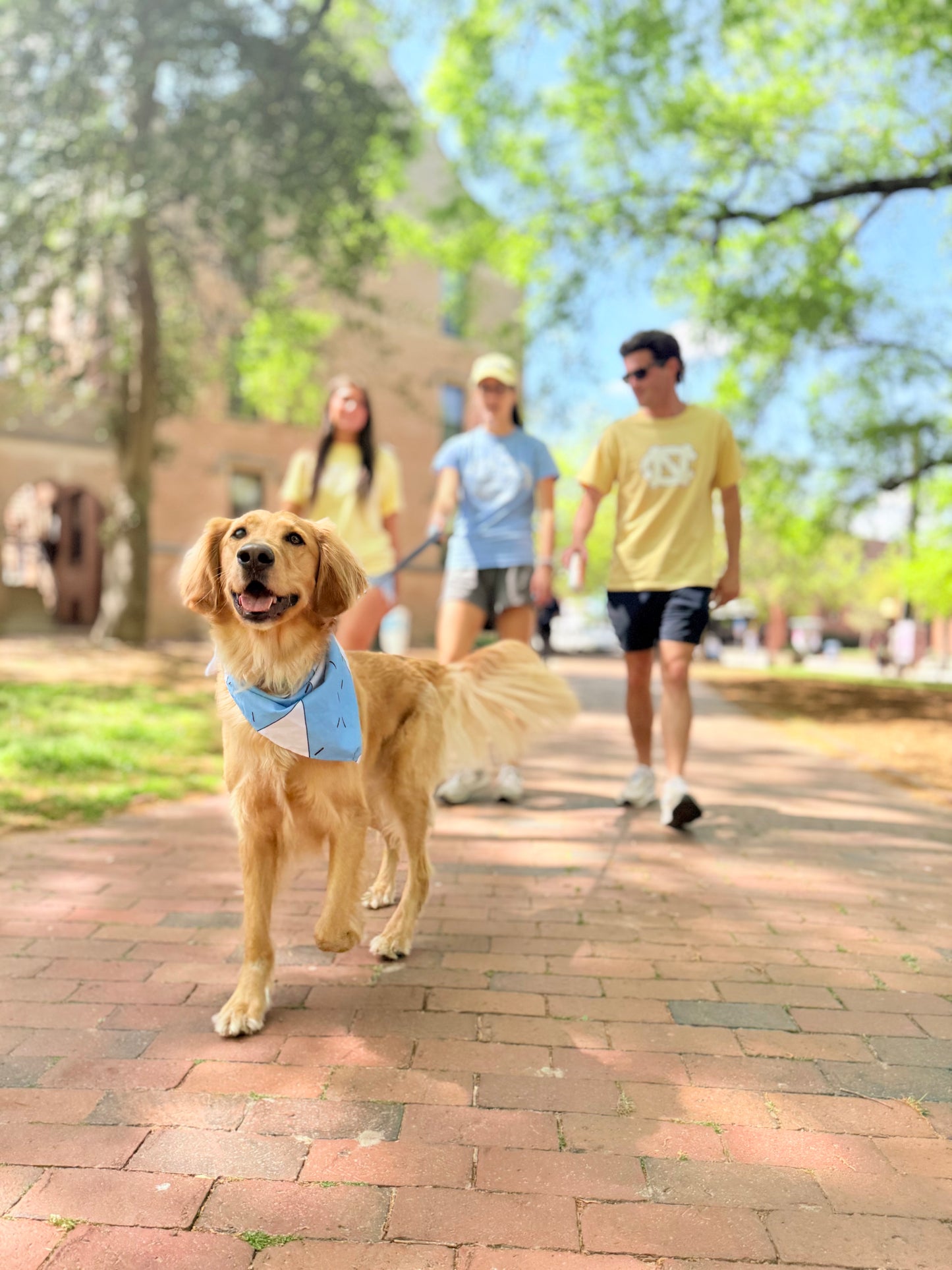Chapel Hill North Carolina Comfort Colors T-Shirt in Butter Yellow