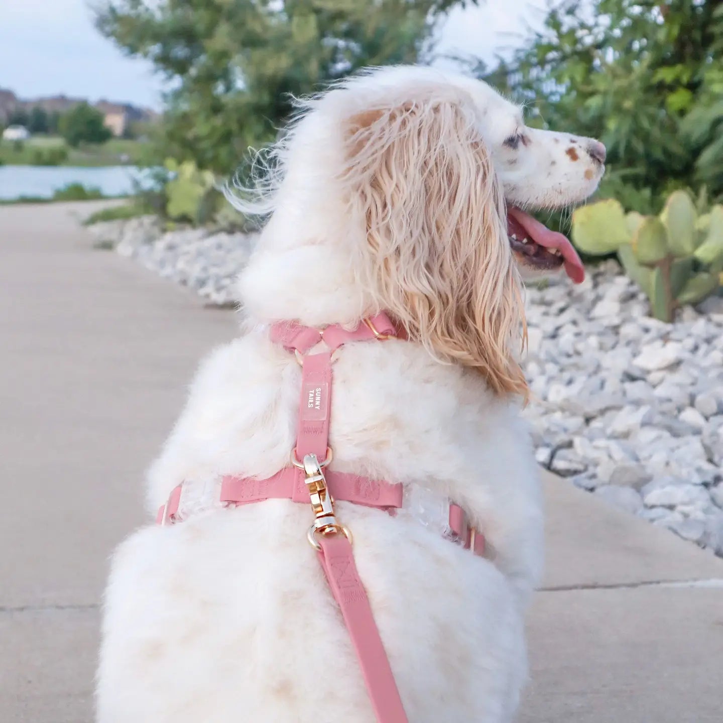Perfect Pink Dog Leash - Detail View - SUNNY TAILS
