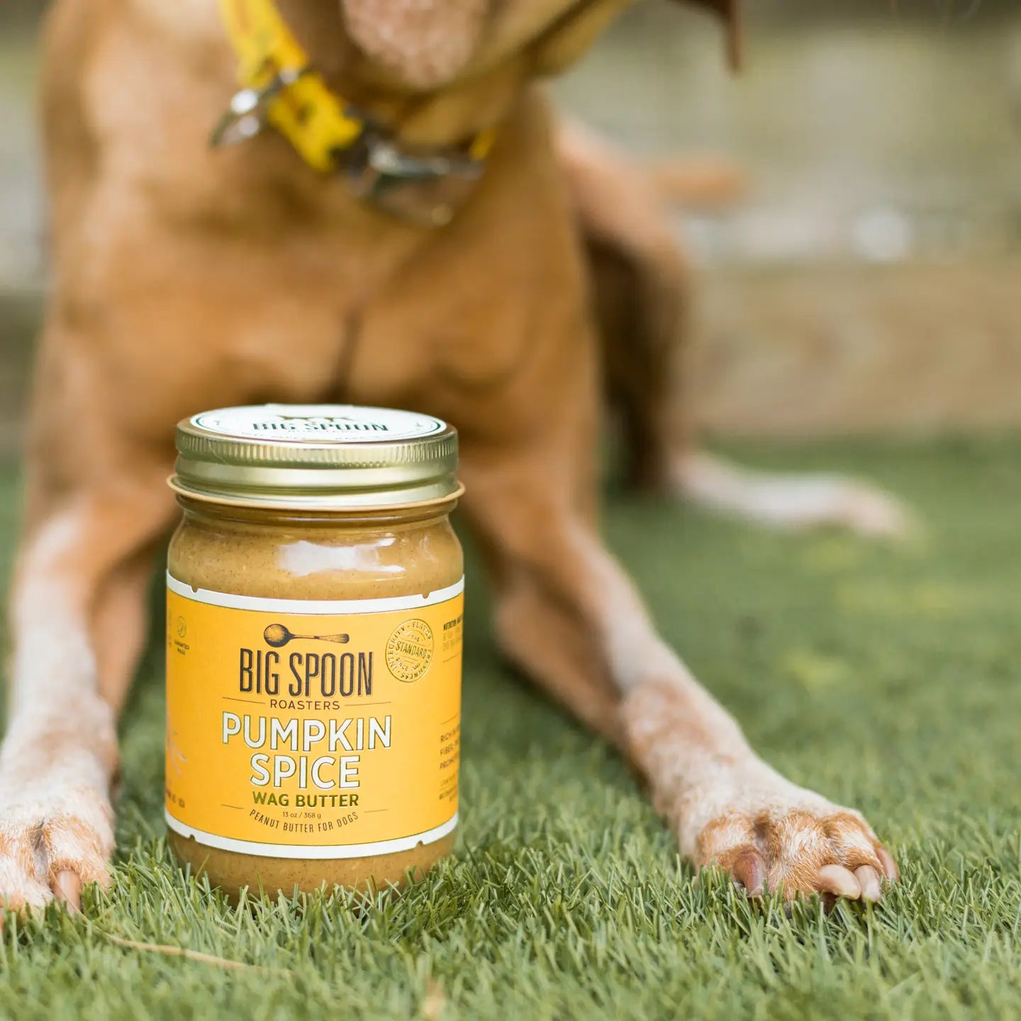 Pumpkin Spice Wag Butter