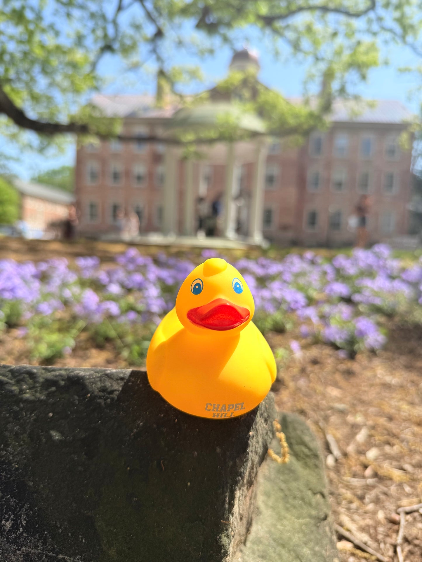 Chapel Hill Rubber Duck with Carolina Blue Eyes