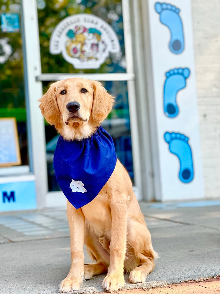 Embroidered dog clearance bandana