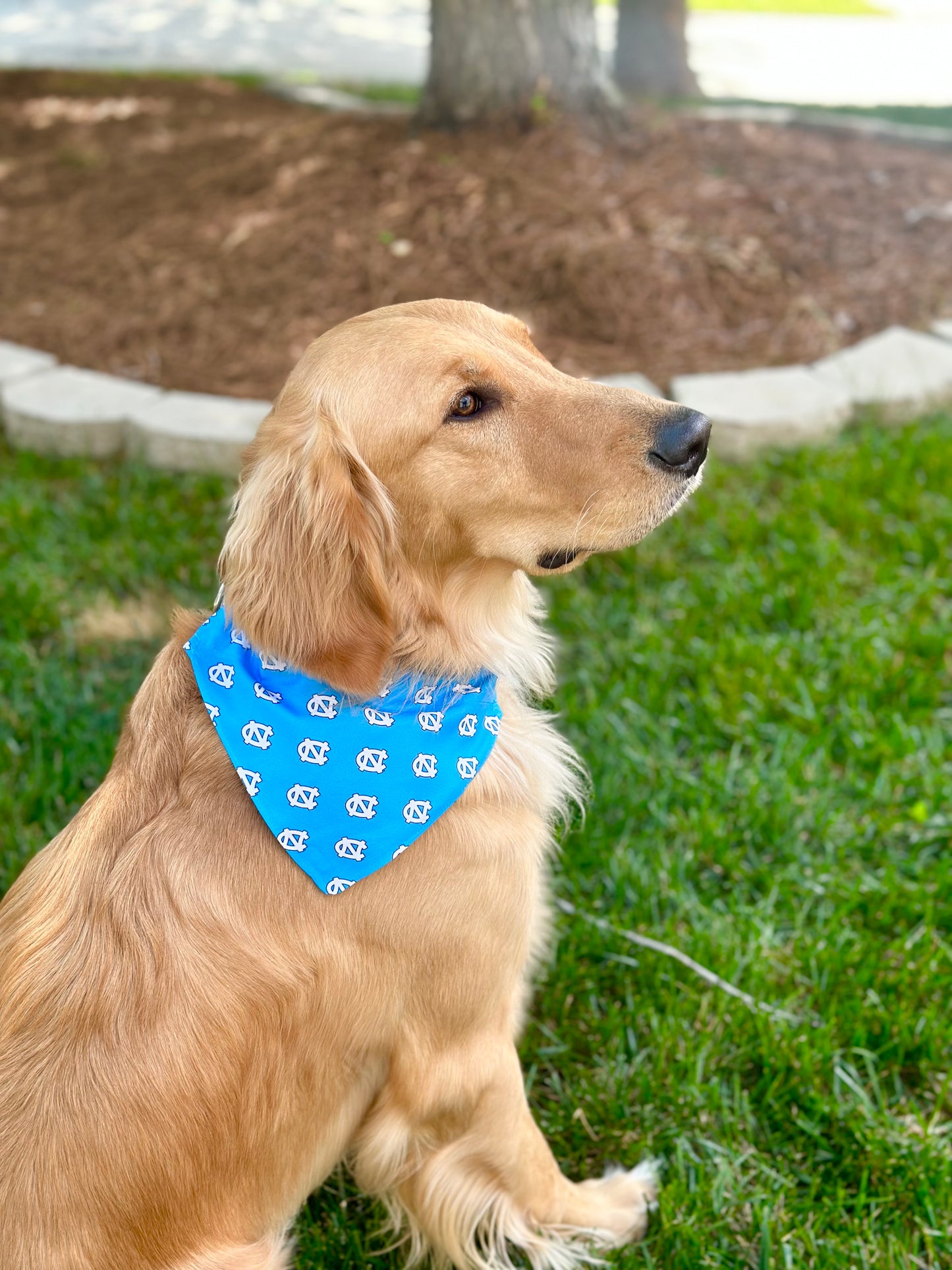 UNC Tar Heels Carolina Blue Pet Collar Bandana