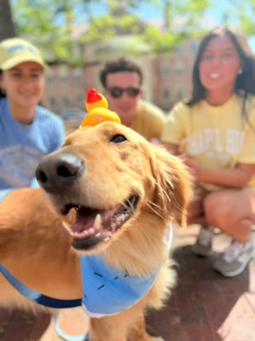 Chapel Hill Rubber Duck with Carolina Blue Eyes