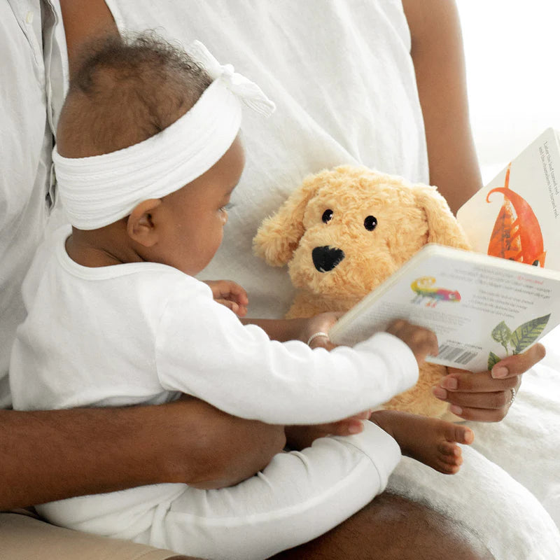 Golden Dog Warmies - Lifestyle View - Warmies