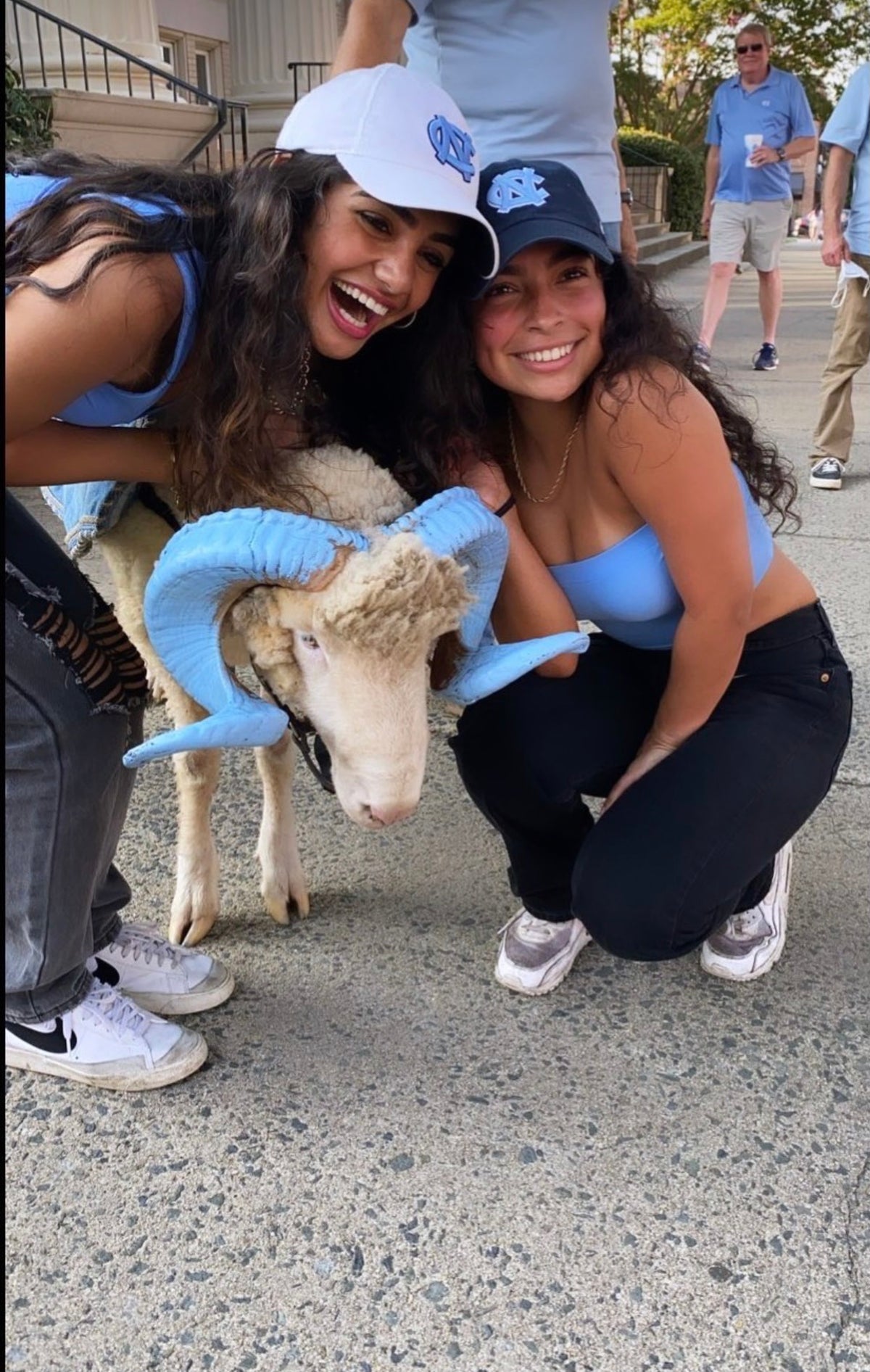 Champ by Legacy - Navy Classic Adjustable UNC Hat - Detail View - Legacy