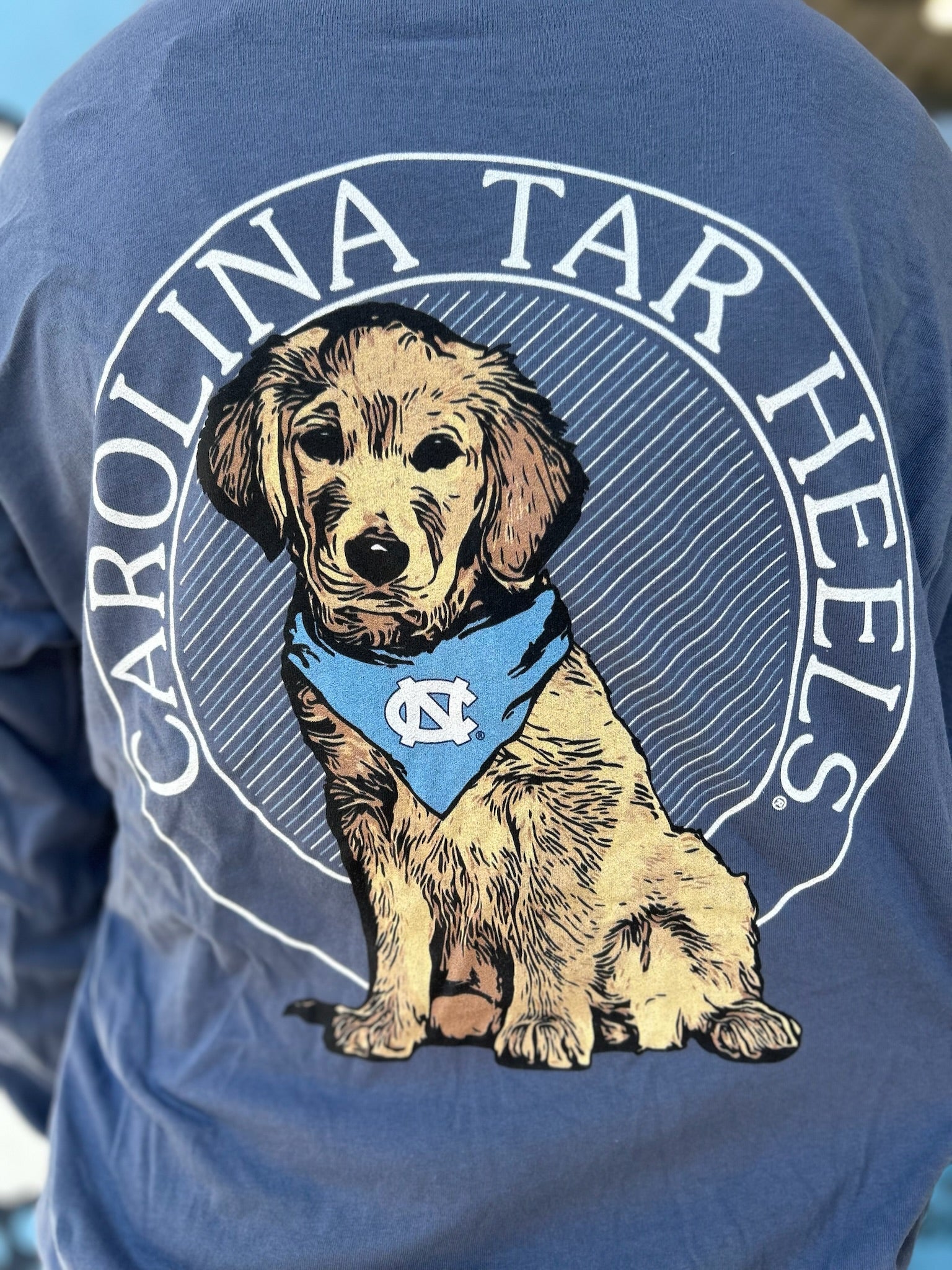 Unc tar fashion heels dog apparel