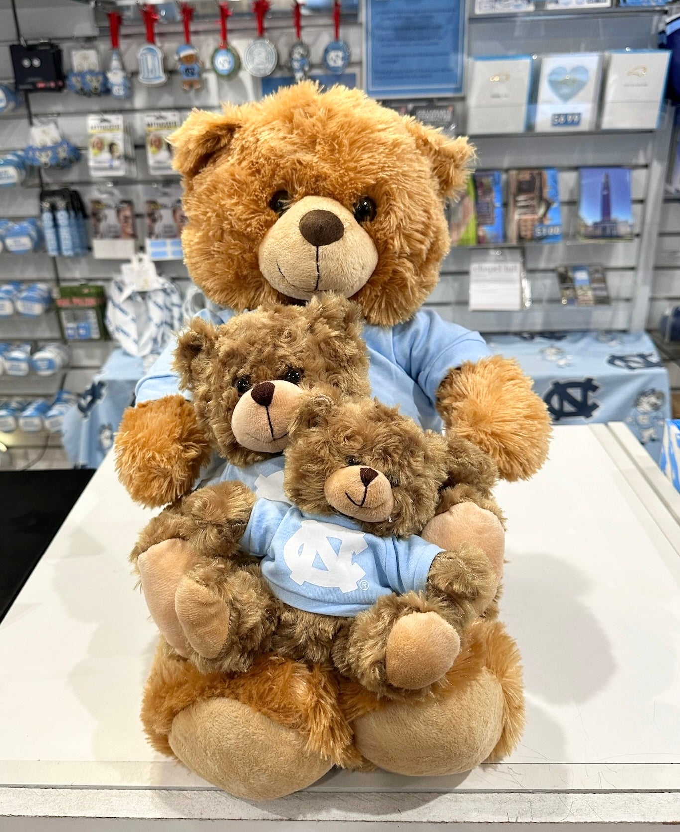 North Carolina Tar Heels Jardine Plush Beige UNC Teddy Bear