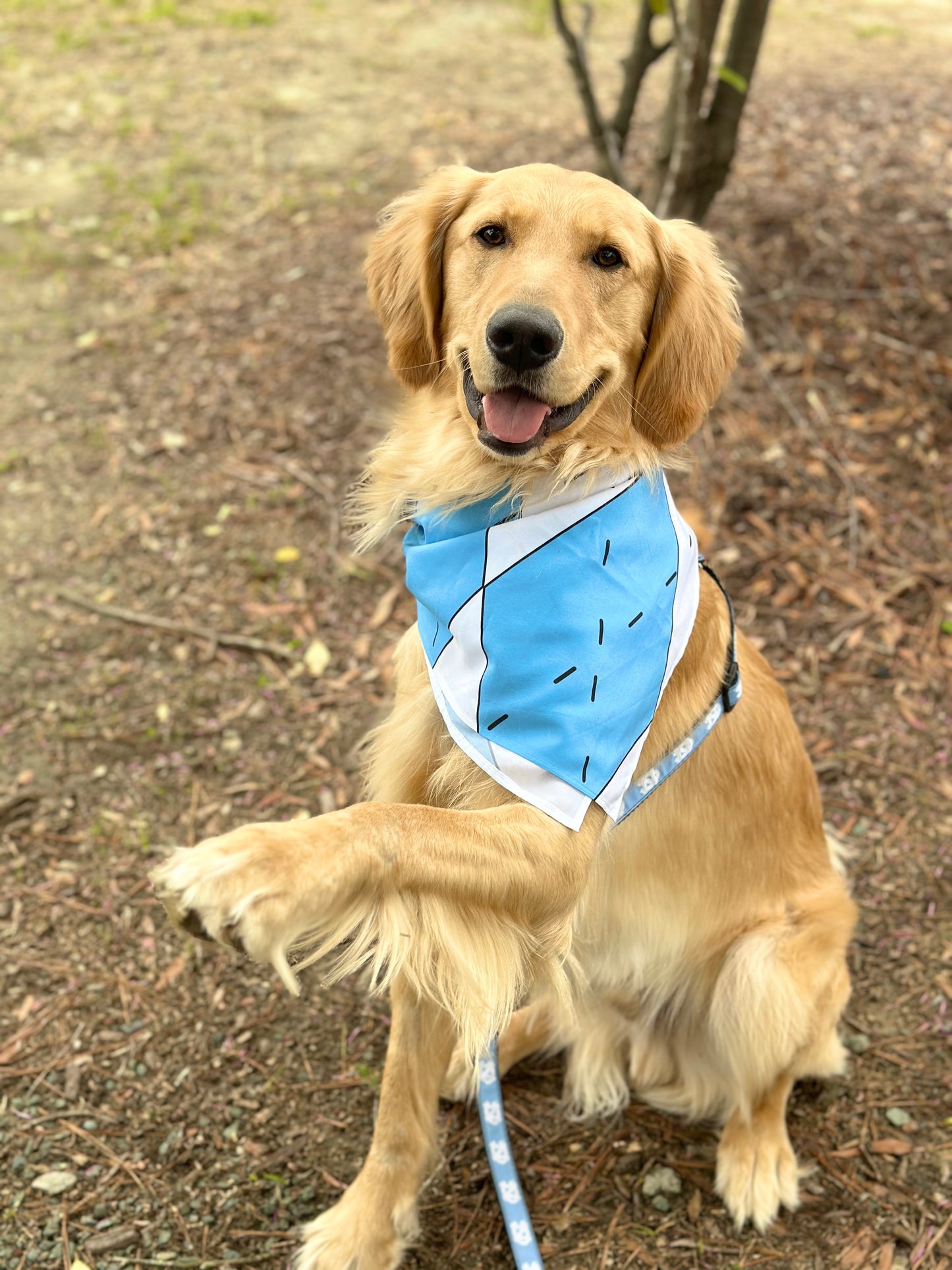 ON SALE North Carolina Tar Heels Dog Step-In Harness