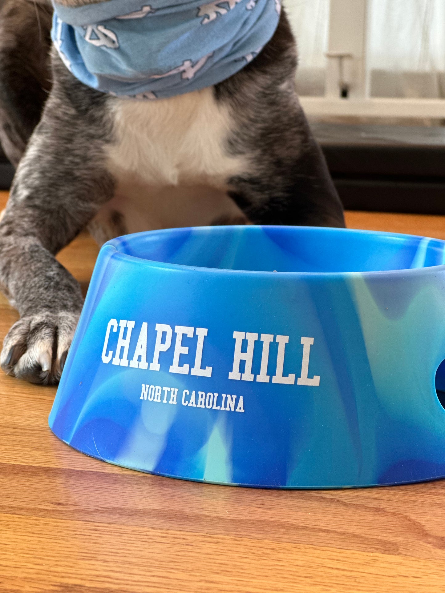 Chapel Hill North Carolina Silipint Dog Bowl