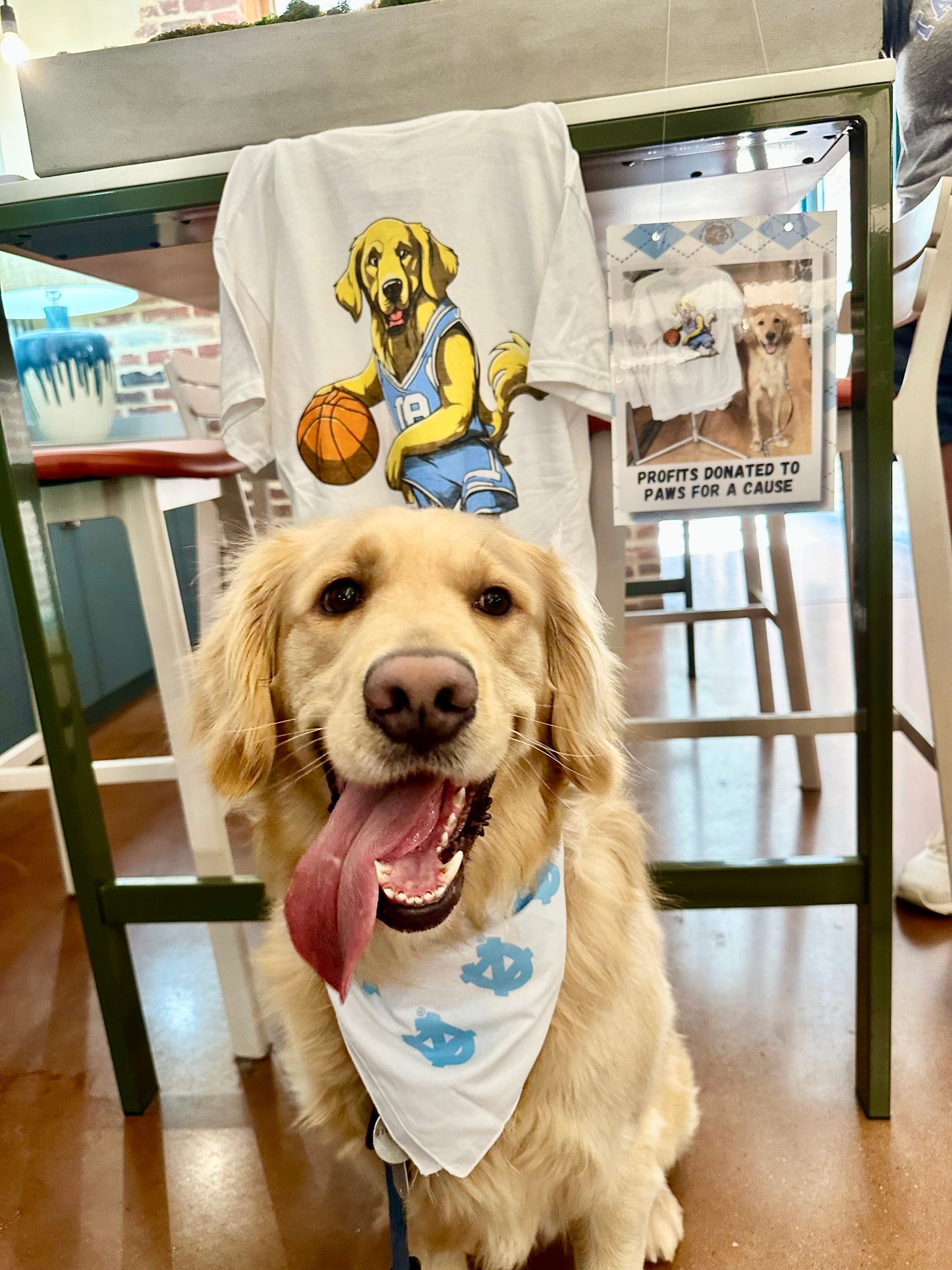 Carolina Paws for a Cause x SHB Charitable Dog T-Shirt Golden Retriever Basketball