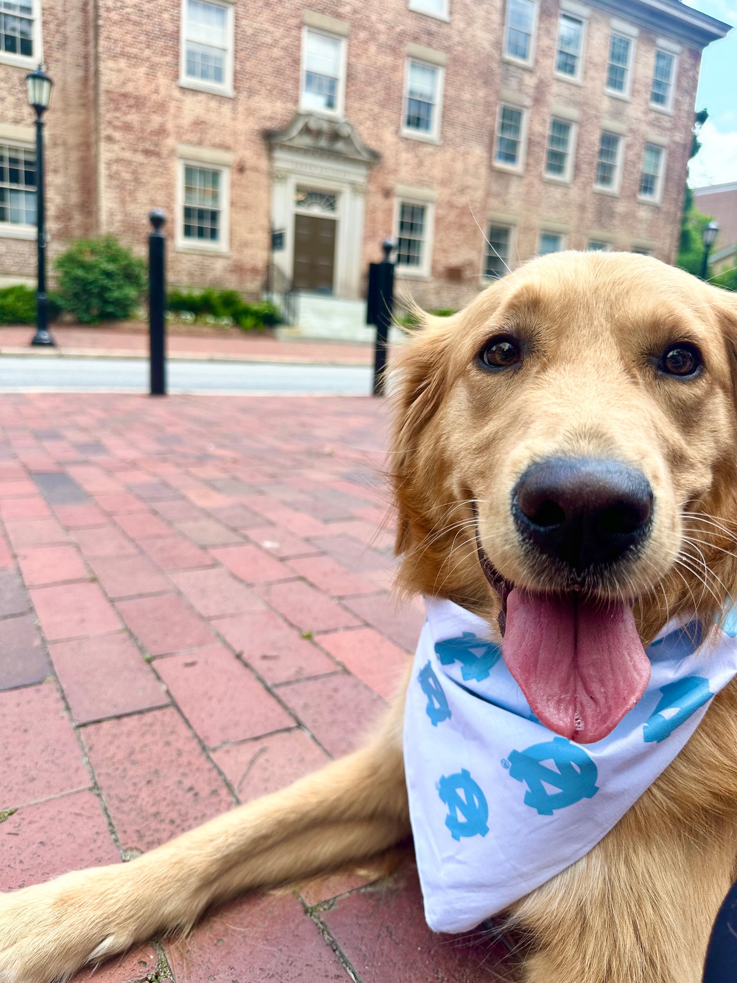 UNC Tar Heels Carolina Pattern Bandana