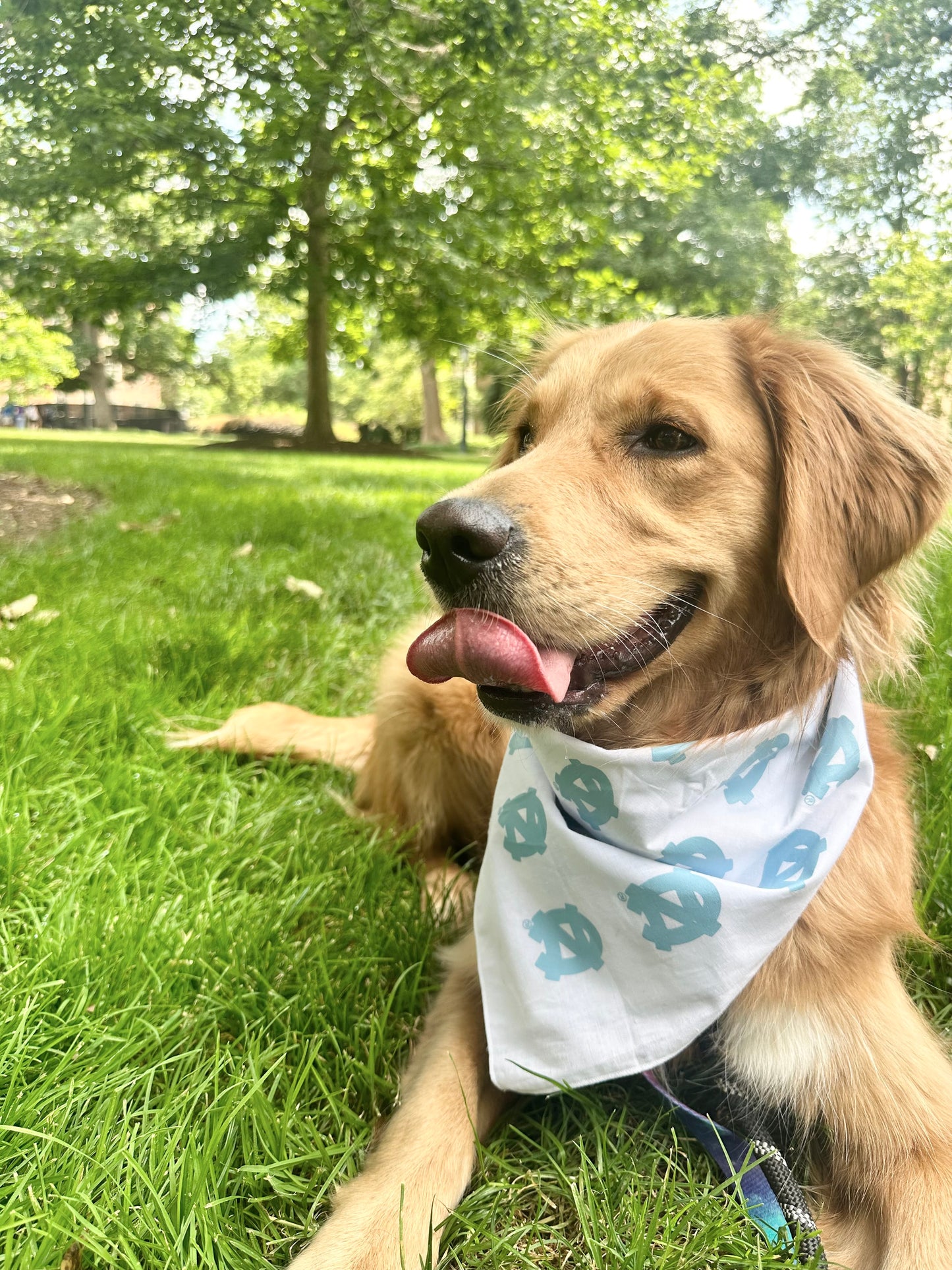 UNC Tar Heels Carolina Pattern Bandana